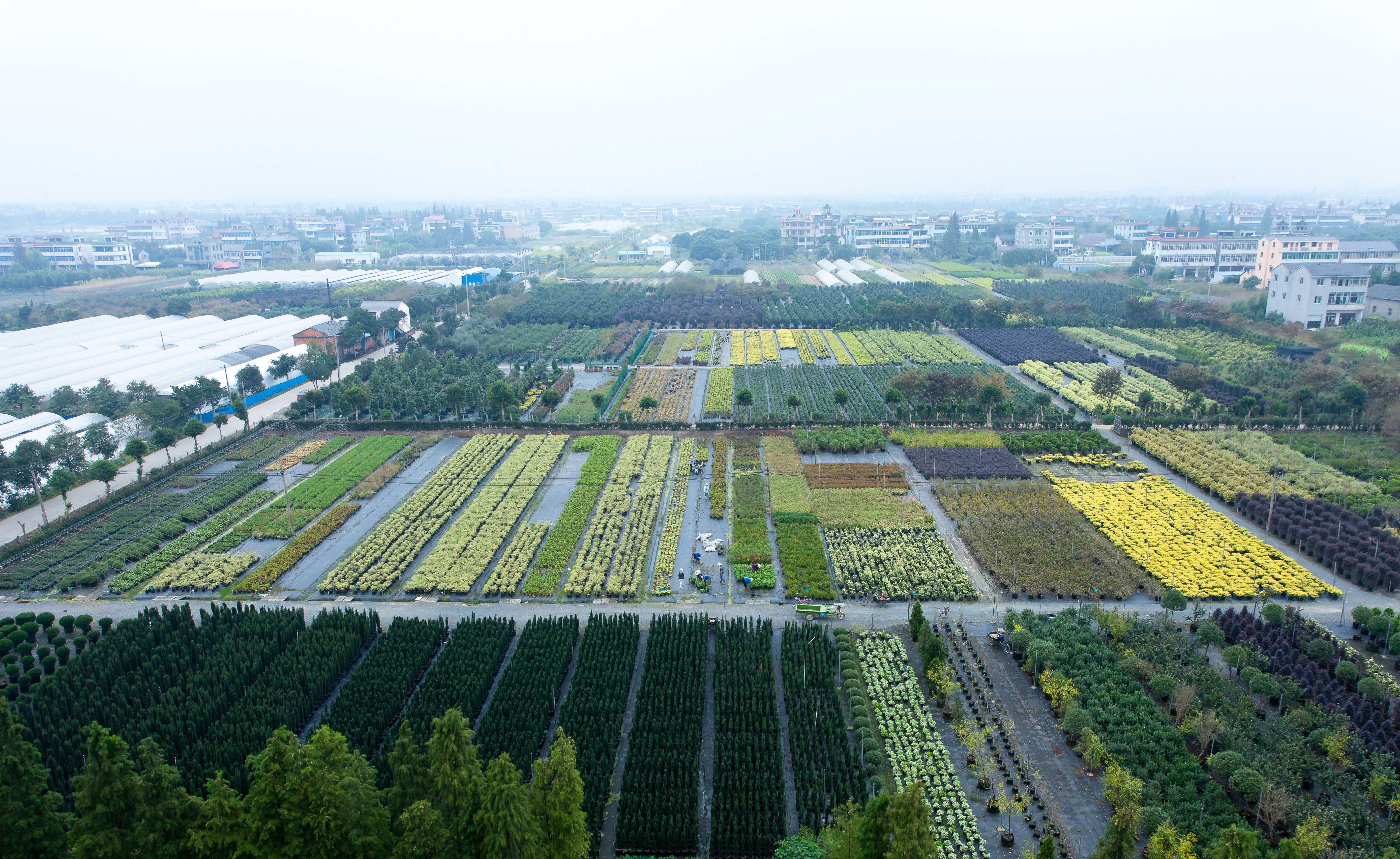 你好呀，2024虹越年度亚搏app入口（中国官网）安卓/ios苹果/电脑版